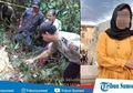 4 Fakta Penemuan Jasad Mahasiswi Tanpa Busana di Palembang, Diduga Korban Pembunuhan dan Pemerkosaan