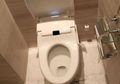 Tak Usah Panik Jika WC Mampat, Bahan Alami di Dapur Anda Ini Ampuh Mengatasinya
