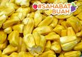 Dari Hilangkan Keriput Sampai Atasi Kanker, Ini Deretan Manfaat Nangka yang #SahabatBuah Wajib Tahu!