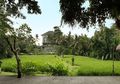 Daftar Hotel di Tengah Sawah, Ubud Bali yang Punya Sensasi Tenang Seperti di Film Eat, Pray, Love!