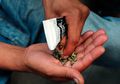Benarkah Pria yang Merokok Ganja Lebih Subur Daripada yang Tidak?