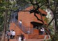 3 Coffee Shops Di Jakarta Yang Bikin Lupa Hiruk-pikuk Kota