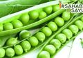 Turunkan Berat Badan Sampai Tingkatkan Kualitas Sperma, Ini Manfaat Lain Kacang Polong yang #SahabatSayur Wajib Tahu