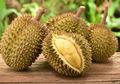 Catat! Ini Daftar Siapa Saja yang Sebaiknya Tidak Boleh Makan Durian