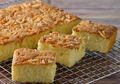 Resep Membuat Cake Tape Tabur Kenari, Cara Seru Mengolah Tape Jadi Hidangan Yang Lezat