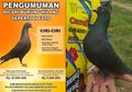 Viral Sayembara Berhadiah Rp 30 Juta Demi Cari Seekor Burung Merpati, Pemilik Beberkan Alasannya