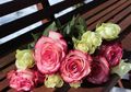 Jomlo di Hari Valentine Jangan Khawatir, Ini 10 Hal yang Bisa Anda Lakukan di Hari Kasih Sayang