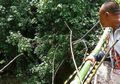 6 Kesalahan Terbesar Google Maps, Buat Truk Masuk Jurang di Bali Hingga Sebuah Rumah Dirobohkan!