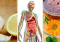 Penting! Ini 3 Obat Alami untuk Detoksifikasi Sistem Limfatik Anda