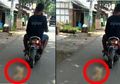 Aksi Pengemudi Motor Menyeret Kucing di Pekalongan Jadi Viral di Media Sosial, Warga Mengecam tapi Tak Berani Menegur
