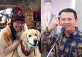 Ahok Sebut Akan Nikahi Puput Nastiti Devi Karena Perintah Ibunya, Sang Adik Kandung: Jangan Berlindung Pakai Tameng Kata Mama