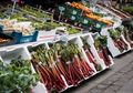 Awas, Makanan Sehat Ini Fatal Akibatnya Jika Dikonsumsi Mentah!