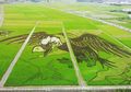 Bak Memahat Sawah, Seperti Apa Seni Lukis Tanbo Art yang Unik Ini?