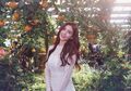 Pesan Panjang Jeon Somi Buat Fansnya. Gara-gara ITZY Debut Lebih Dulu?