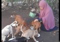 Hari Kasih Sayang: Kisah Desy, Wanita Berhijab Penolong Anjing Liar, Wujud Kasih Sayang untuk Semua Makhluk