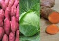 Selalu Ada di Pasar Tradisional, Berikut 5 Makanan Pencegah Kanker yang Murah Meriah
