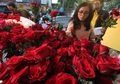 Lihat Foto-foto Bunga yang Selalu Dicari Saat Hari Valentine Ini