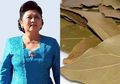 Daun Salam Bisa Obati Kanker Darah Seperti yang Diderita Ani Yudhoyono, Ini Cara Praktis Menggunakannya