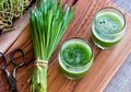 Sederet Manfaat Minum Jus Wheatgrass, Buat Kurus Sampai Cegah Kanker