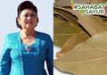 Sakit Kanker Darah Seperti Ani Yudhoyono Bisa Disembuhkan Oleh Daun Salam, #SahabatSayur Harus Tahu Aturannya