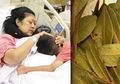 Ani Yudhoyono Sakit Kanker Darah, Siapa Sangka Daun Salam Bisa Cegah Leukemia!