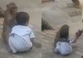 Diculik Monyet, Anak Ini Malah Diperlakukan Bak Anaknya, Lihat Kisahnya yang Buat Geleng Kepala