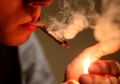 Ingat, Perokok Ganja Punya Risiko Depresi dan Bunuh Diri Lebih Tinggi