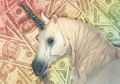 Ramai Jadi Pembahasan saat Debat Capres, Ini 4 Unicorn Indonesia yang Harus Kita Ketahui