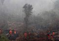 Kilas Balik Kebakaran Hutan Terparah yang Pernah Terjadi di Indonesia