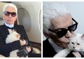 6 Fakta Kucing Karl Lagerfeld yang Dikabarkan akan Warisi Harta Milik Tuannya