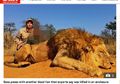 Kontroversi Olahraga Berburu Singa di Afrika Selatan, Dikembangbiakkan Hanya untuk Dibunuh
