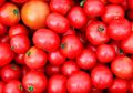 Coba Konsumsi Satu Buah Tomat Setiap Hari, Kamu Akan Dapatkan Manfaat Luar Biasa Ini