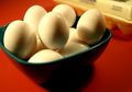 Selain Kaya Akan 40 Jenis Protein, Putih Telur Terbukti Membakar Lemak