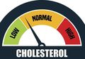 Khawatir Kolesterol Tinggi saat Pandemi, Ikuti Cara Mudah Mencegahnya