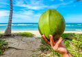 Banyak yang Tak Tahu, Ini Rahasia Air Kelapa untuk Tubuh!   