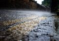 Hujan Ikan Pernah Terjadi di 5 Negara Ini