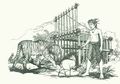 I Sadia dan Harimau