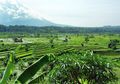 Empat Desa Zona Merah di Sekitar Gunung Agung