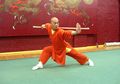 Wushu, Seni Bela Diri untuk Kesehatan