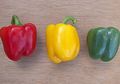 Inilah Perbedaan Paprika Hijau, Kuning, dan Merah