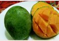 Fakta Unik Buah Mangga