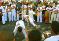 Capoeira, Seni Bela Diri dengan Tarian