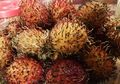 Buah Rambutan Dinobatkan sebagai Makanan Super