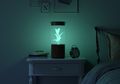 Tanaman dalam Lampu Kamar yang Bisa Bersinar dalam Gelap