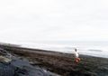 Ternyata Pasir Pantai Tidak Hanya Warna Hitam dan Putih