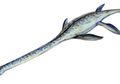 Mengenal Monster Laut