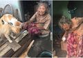 Kisah Nenek Sebatang Kara yang Hanya Tinggal Bersama Kucing-kucing Peliharaannya