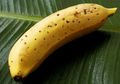 Pisang Mongee, Pisang yang Bisa Dimakan dengan Kulitnya