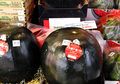 Makanan Termahal di Dunia