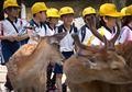 3 Kebiasaan Ini Membuat Anak-anak di Jepang Dijuluki Anak Paling Sehat di Dunia